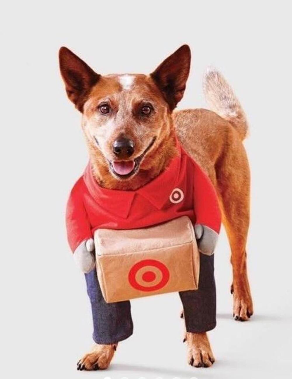 NWT BOOTS AND BARKLEY Target Team Member Jeans Dog Frontal
Costume Size Large